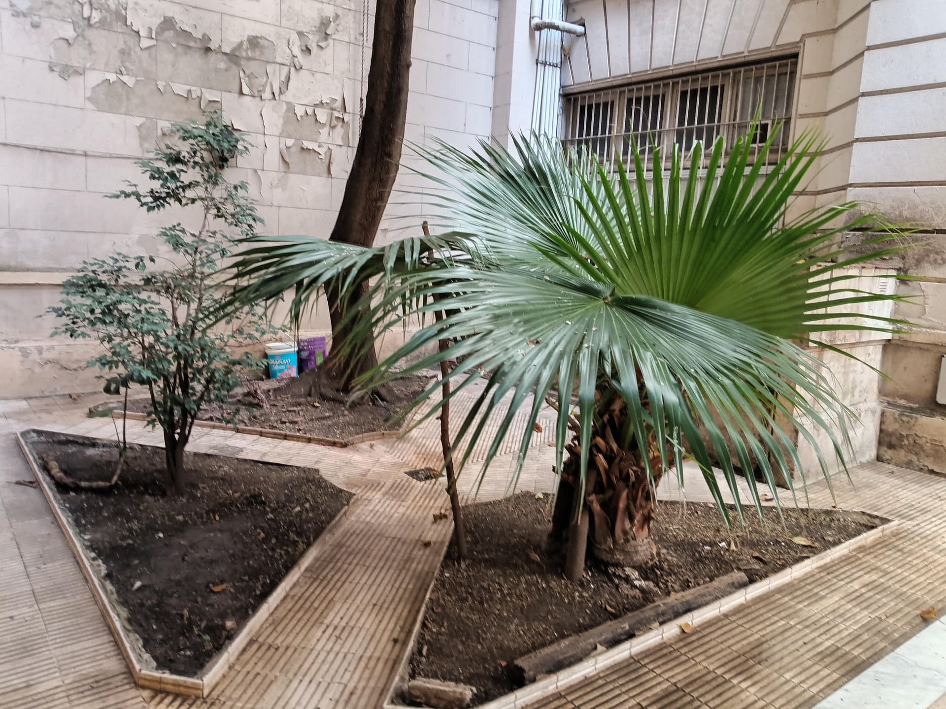 Departamento 5 ambientes en San Nicolás - foto 3