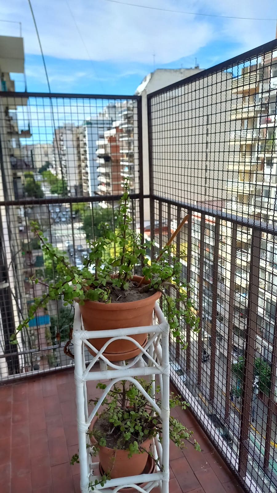 Departamento 3 ambientes en Palermo - foto 9