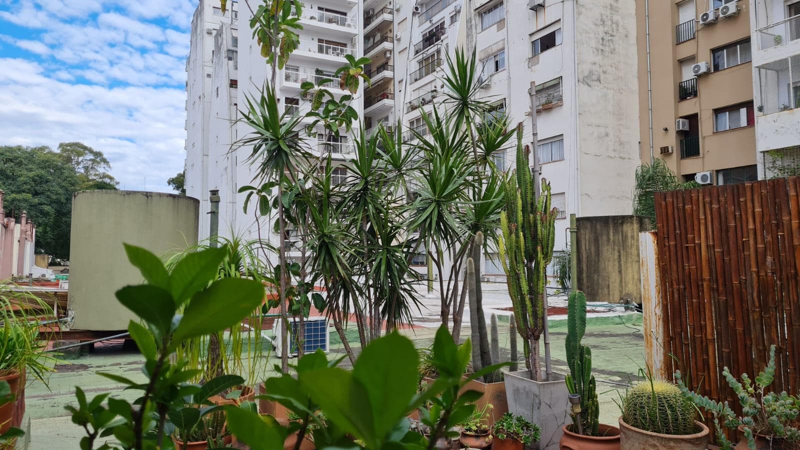 Departamento 3 ambientes en Botanico, Palermo - foto 49