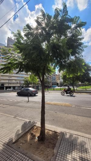 Departamento 1 ambientes en Recoleta - foto 4