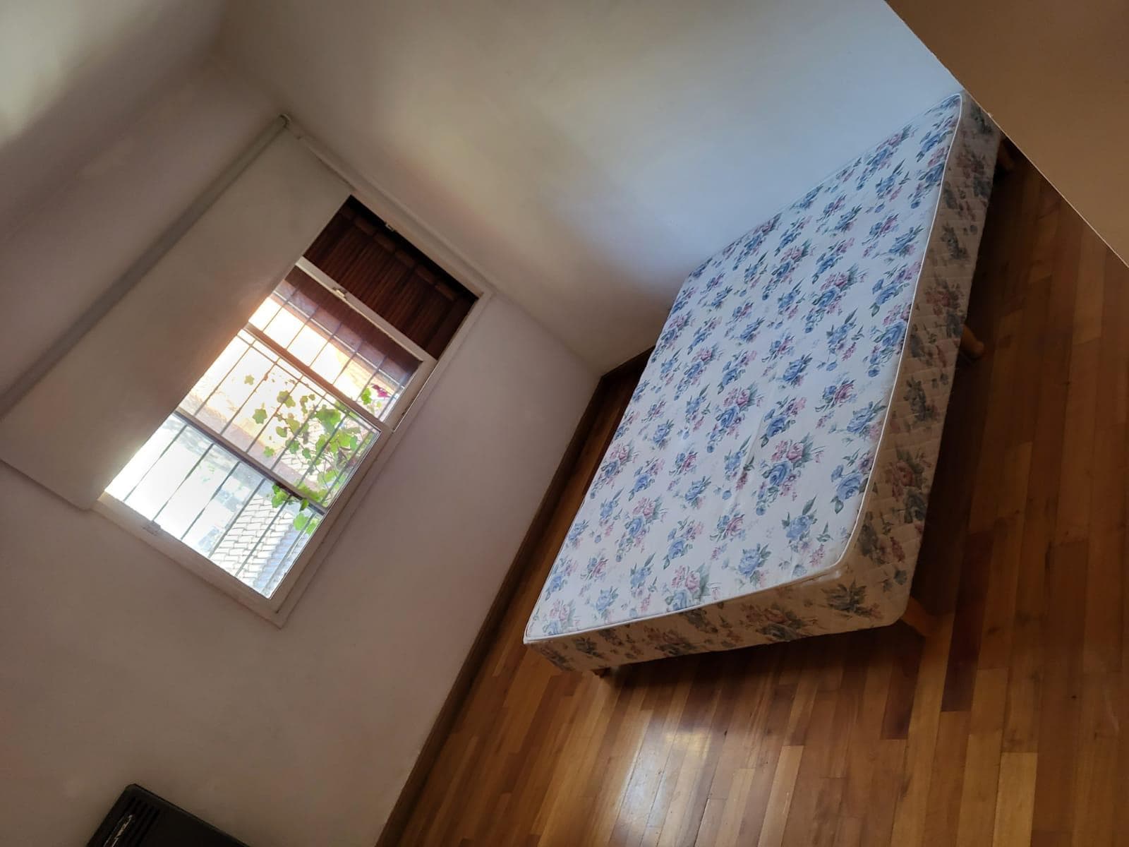 Casa 5 ambientes en Villa Urquiza - foto 15