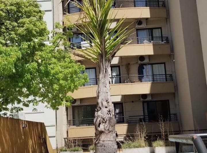 Departamento en Alquiler de 2 ambientes Belgrano C
