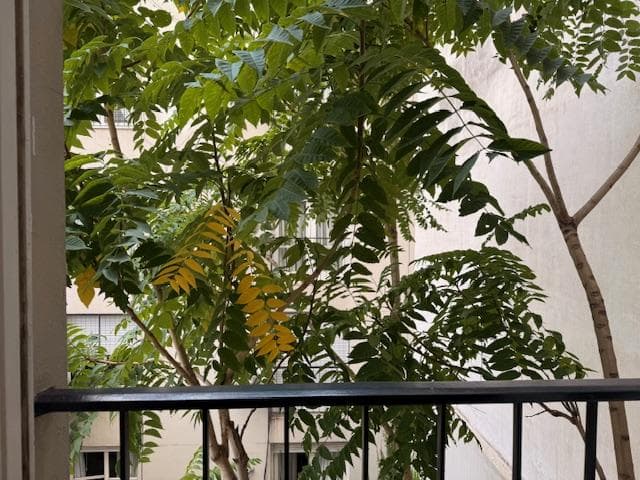 Departamento 4 ambientes en Barrio Norte - foto 34