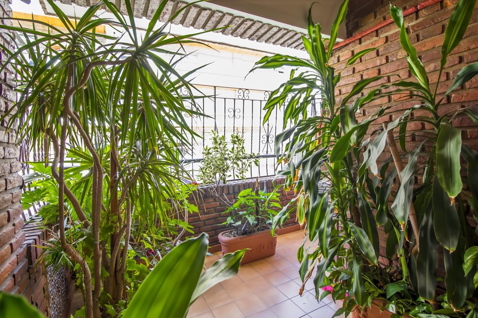 Departamento 4 ambientes en Barrio Norte - foto 30