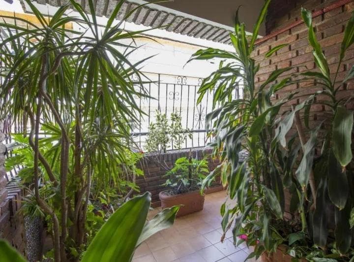 Departamento 177m² Alquiler