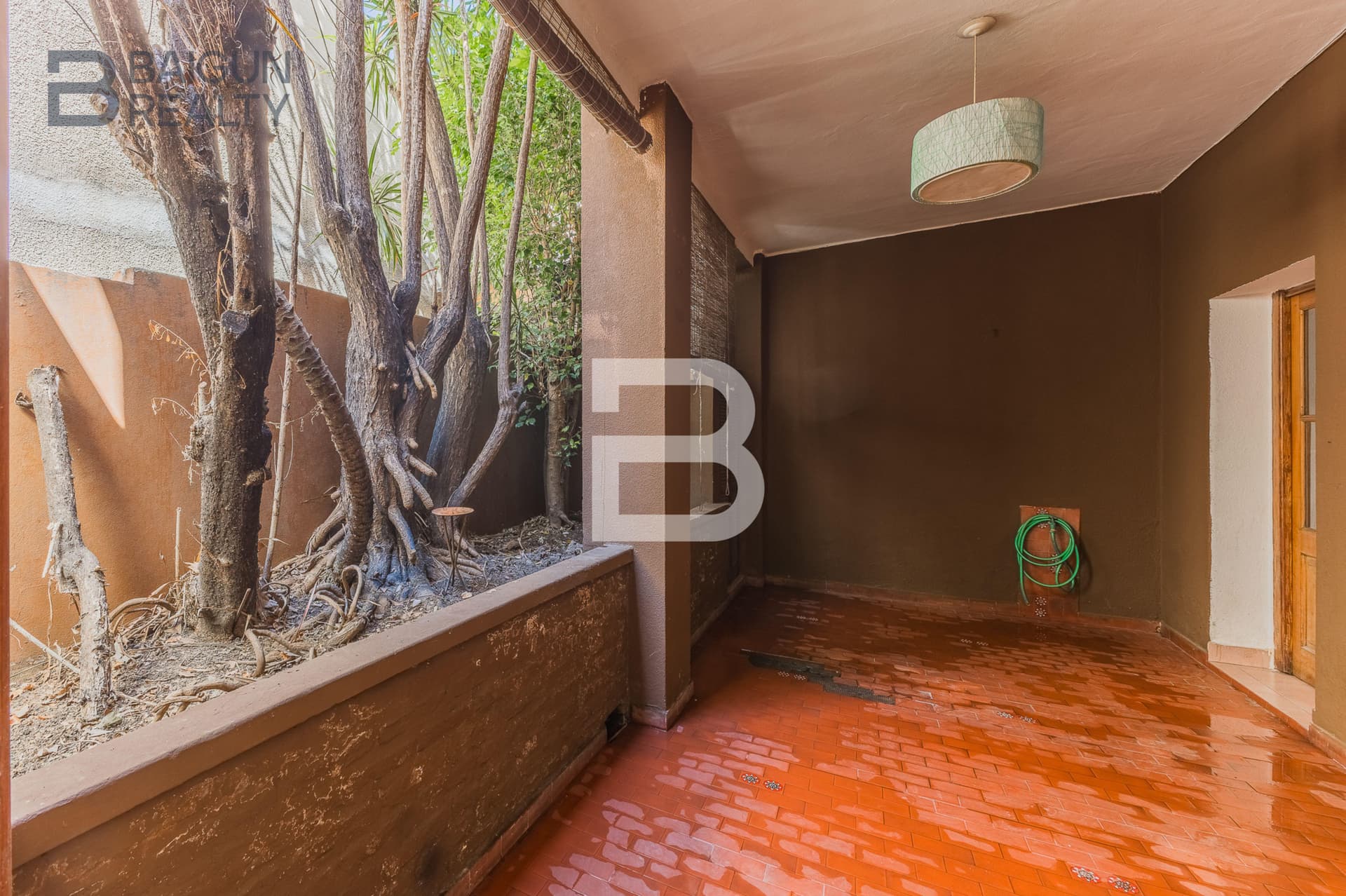 Patio exterior con baldosas rojas y plantas frondosas.