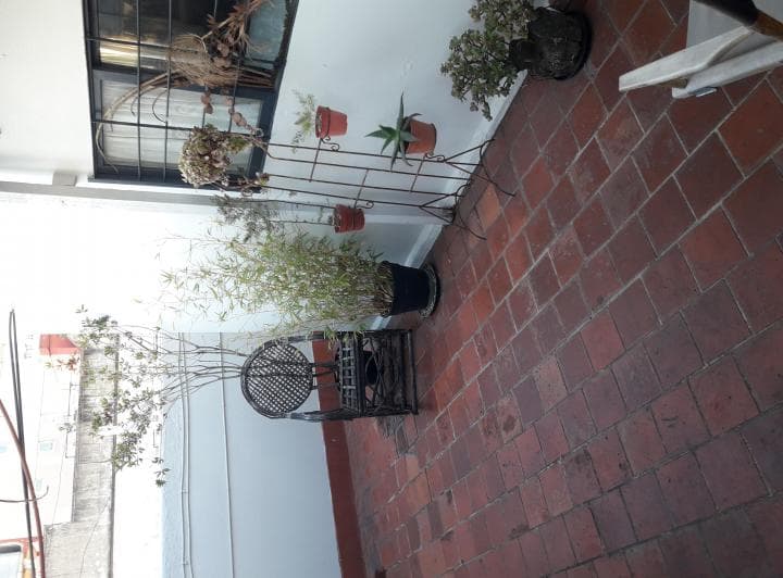 PH · 36m² · 1 Ambiente - Fabrizio Forti