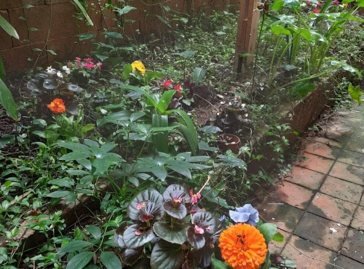 Departamento 83m² Alquiler Botánico