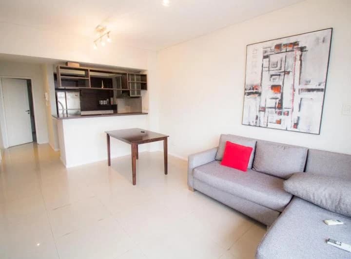 El departamento es luminoso, tiene 45 m2 (aprox) con ambientes grandes: living/c
