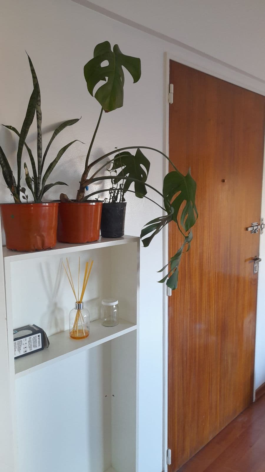 Departamento 1 ambientes en Olivos-Vias/Rio, Olivos - foto 5