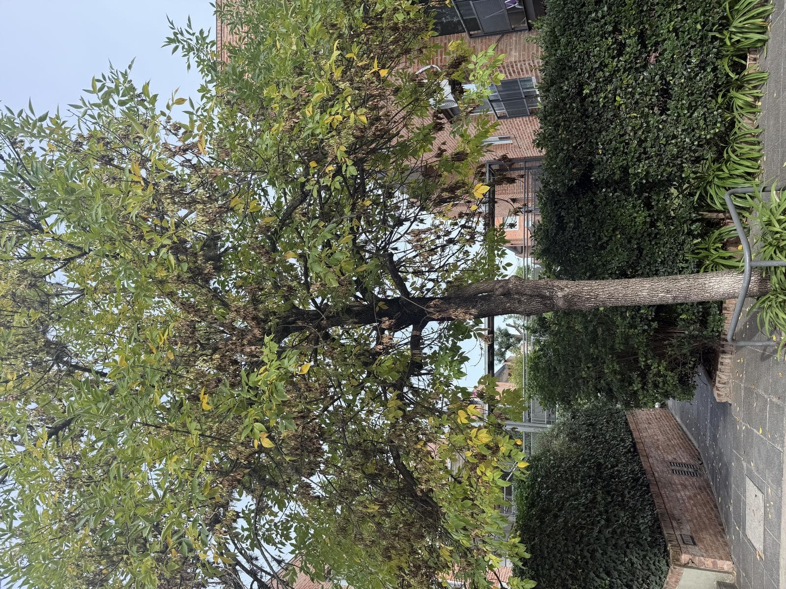 Departamento 2 ambientes en Las Mercedes, Countries/B.Cerrado (Pilar) - foto 17