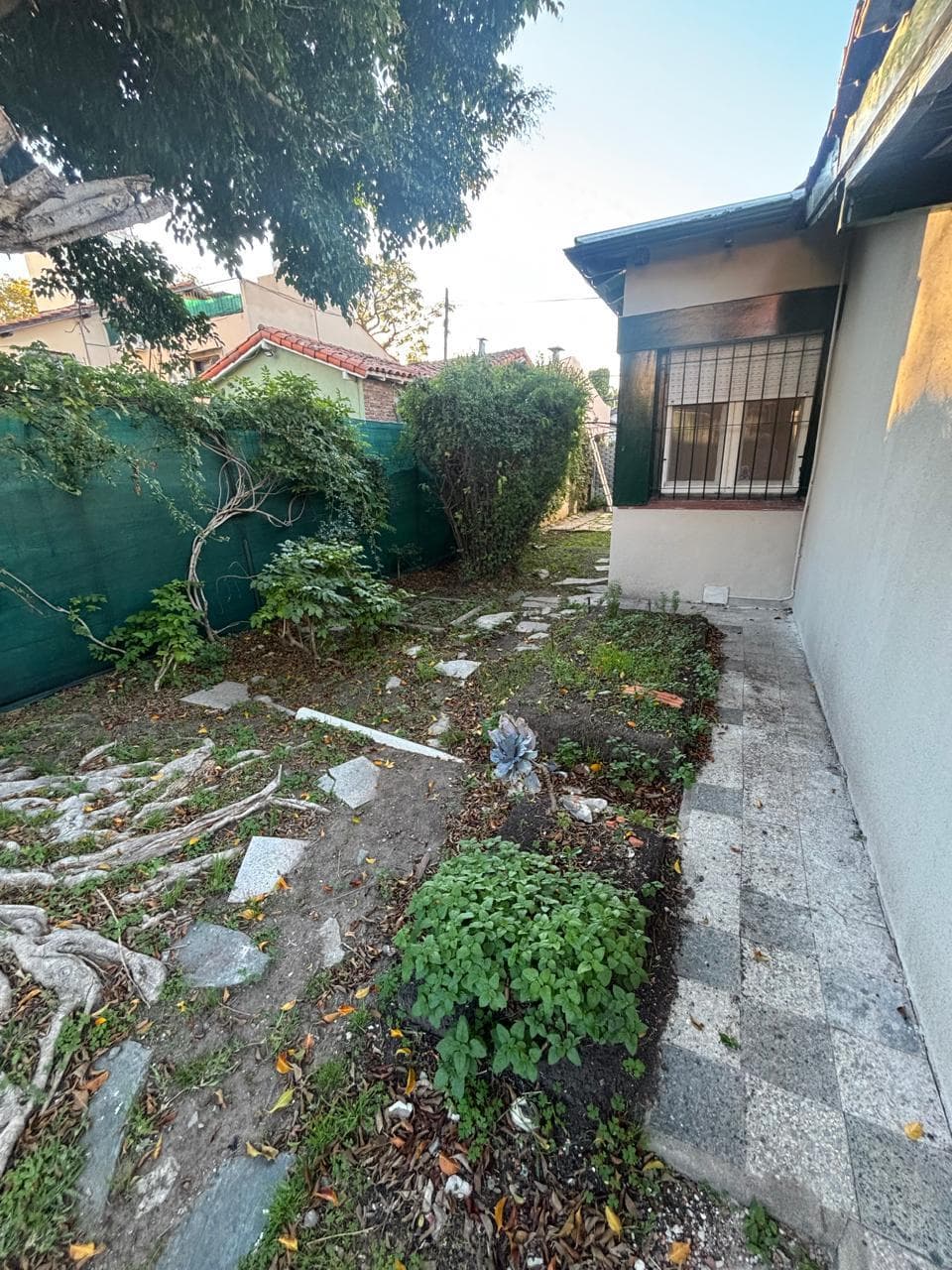 Casa 4 ambientes en Martinez, San Isidro - foto 34