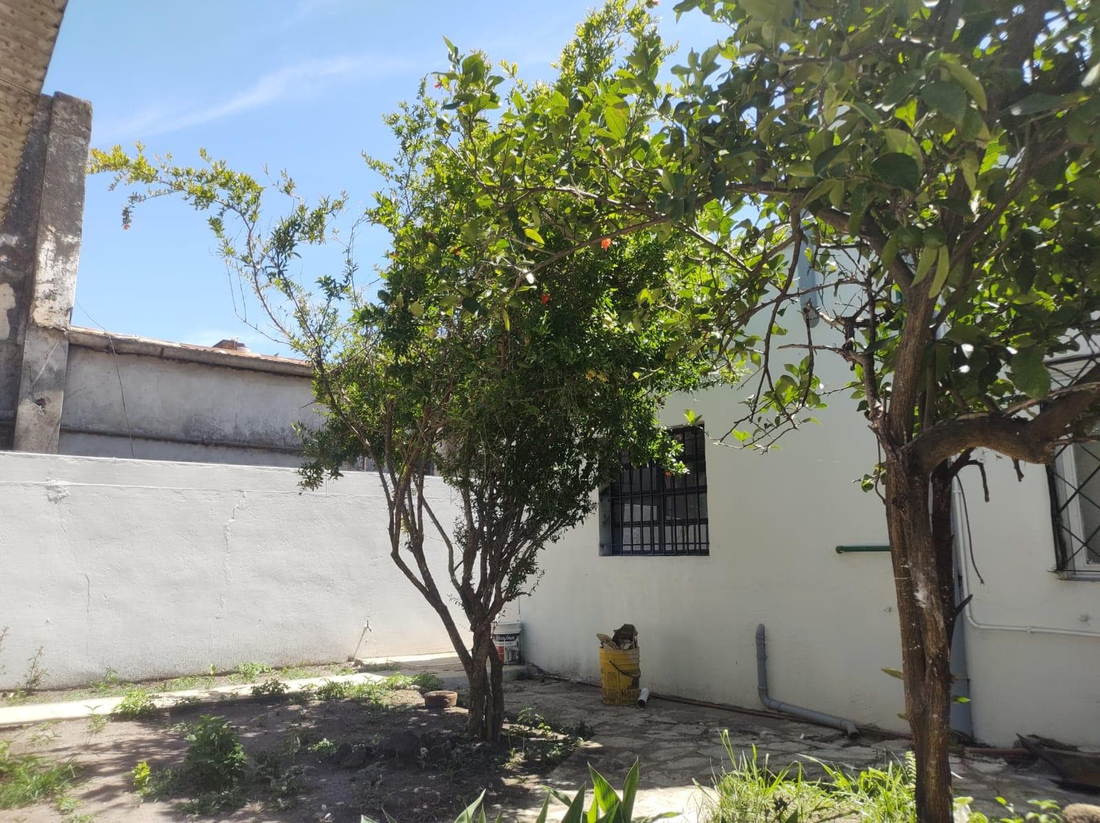 Casa 3 ambientes en Adrogue, Almirante Brown - foto 21