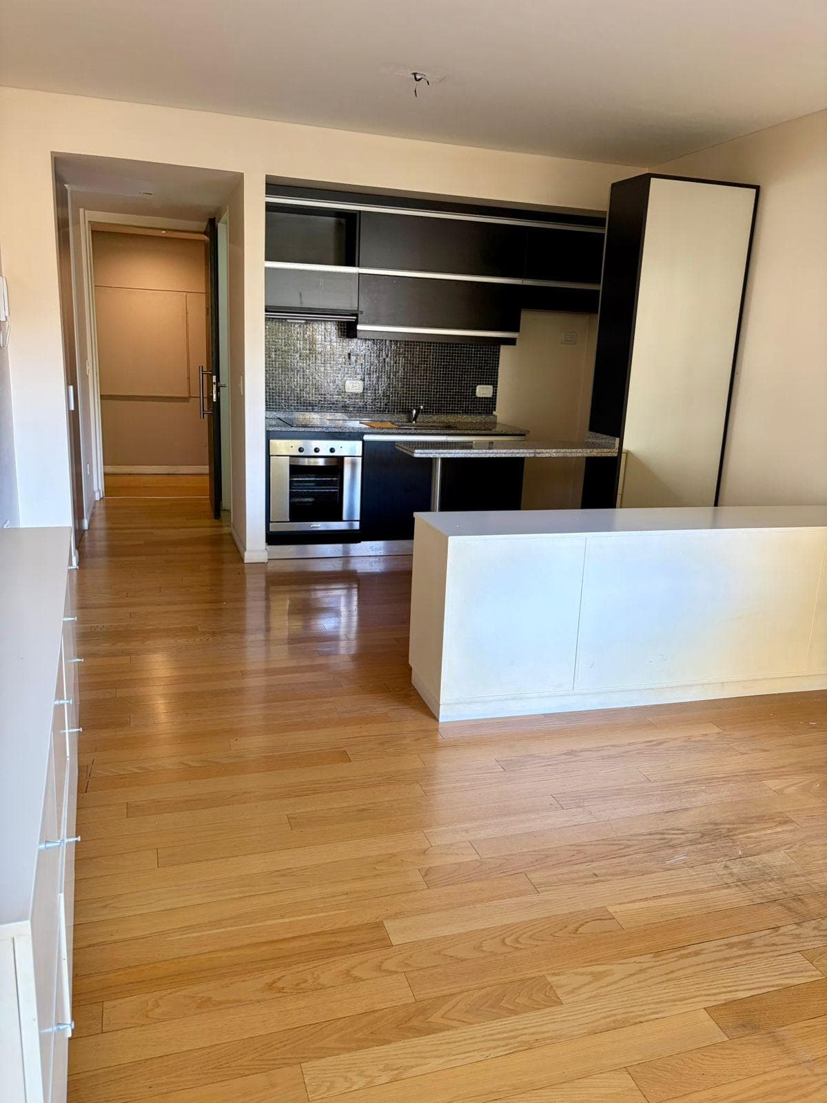 Departamento 1 ambientes en Recoleta - foto 1