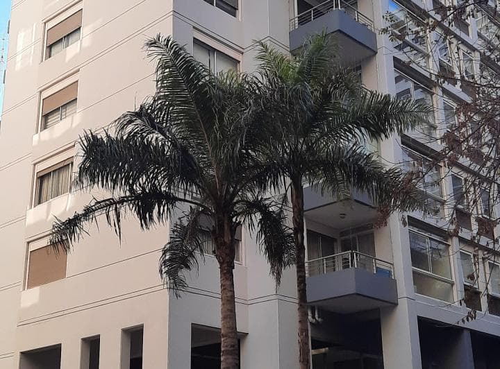 Departamento 3 ambientes en Belgrano - foto 1