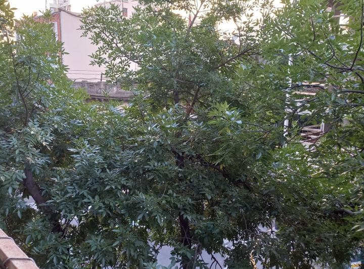 Departamento 75m² Alquiler