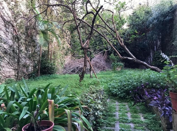 Patio de uso común