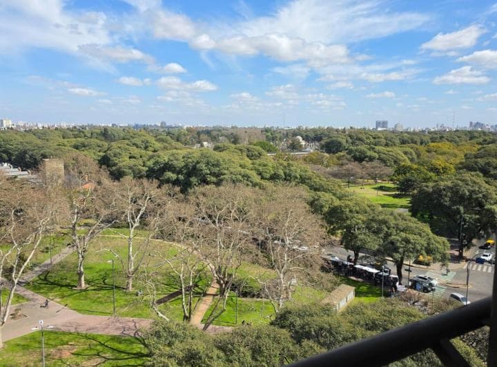 Vista aérea de un parque con mucha vegetación y cielo azul claro.