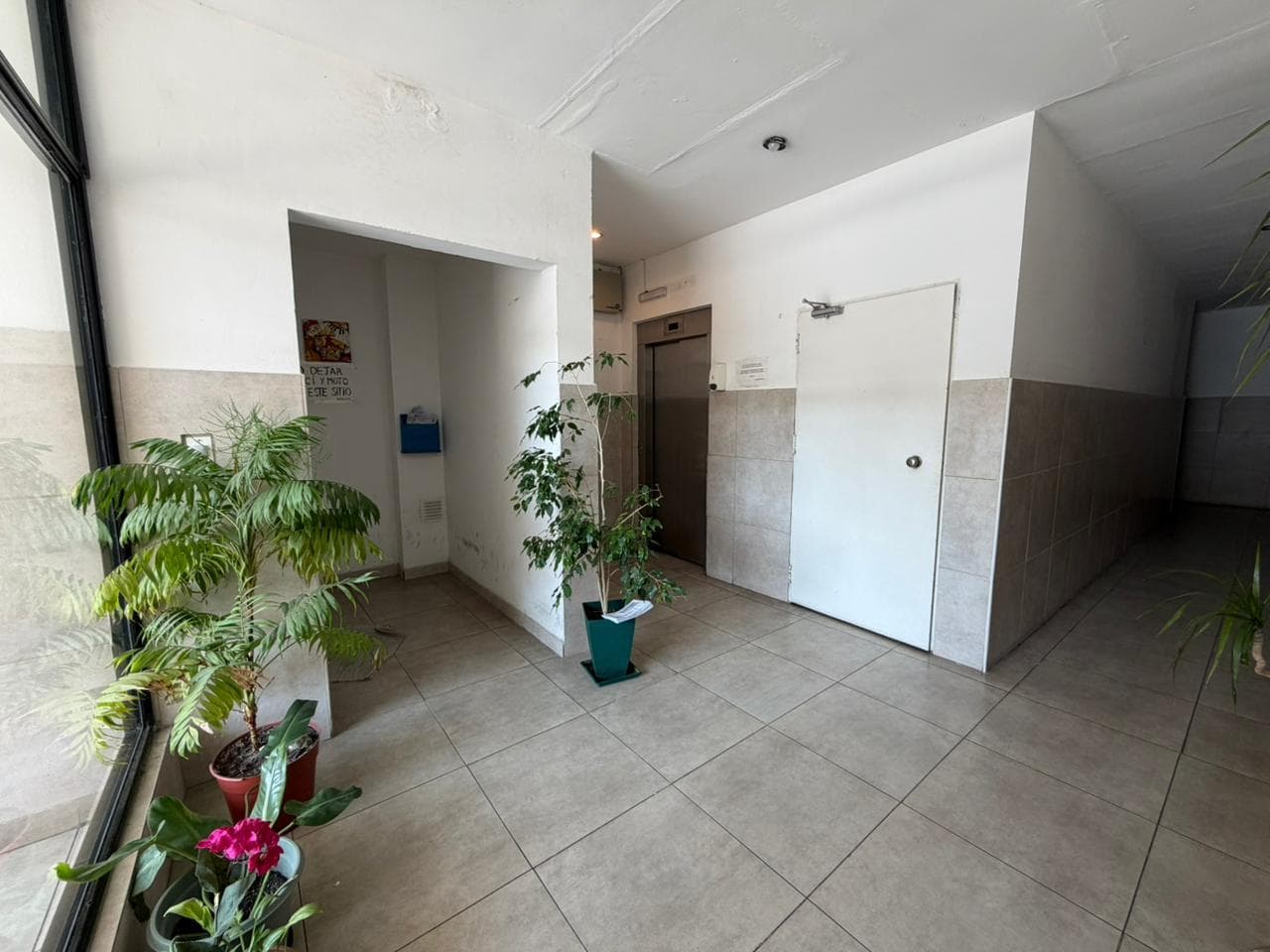 Hall de entrada del edificio con ascensor y plantas.