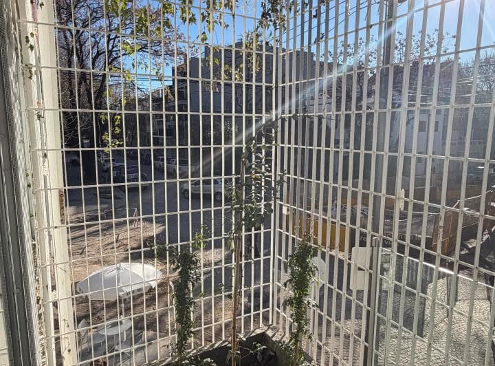 Departamento de 1 ambiente Alquiler USD 700