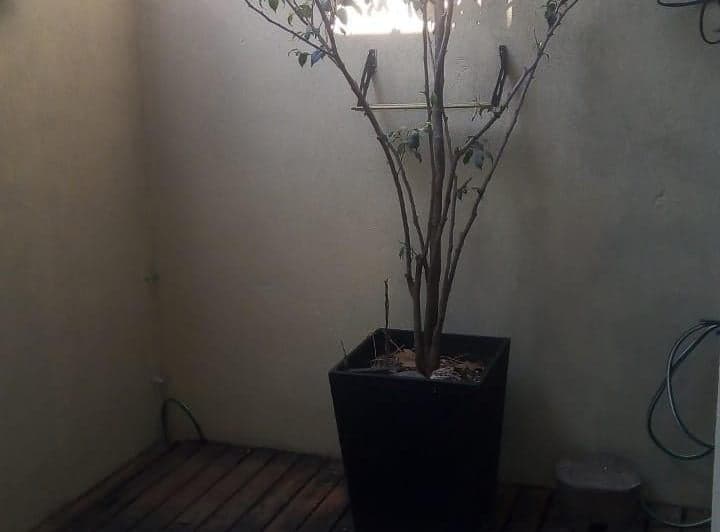 PH Alquiler 75m² de 3 ambientes