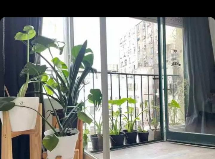 Un departamento en la esquina más linda del barrio: Reconquista y Marcelo T. de