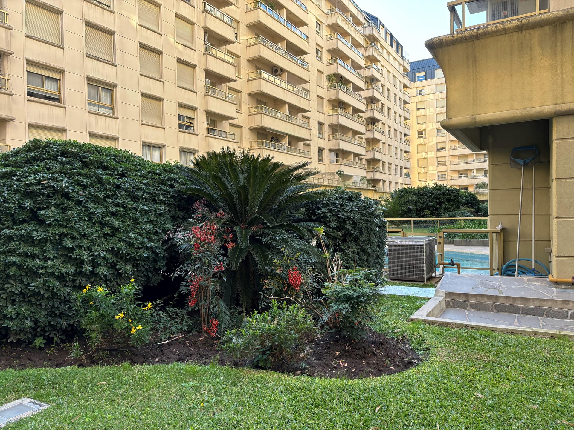 Jardín común con arbustos y plantas verdes.