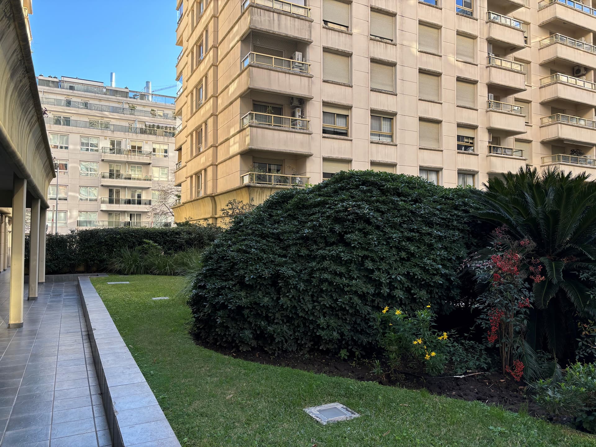 Jardín exterior del edificio con césped y arbustos.