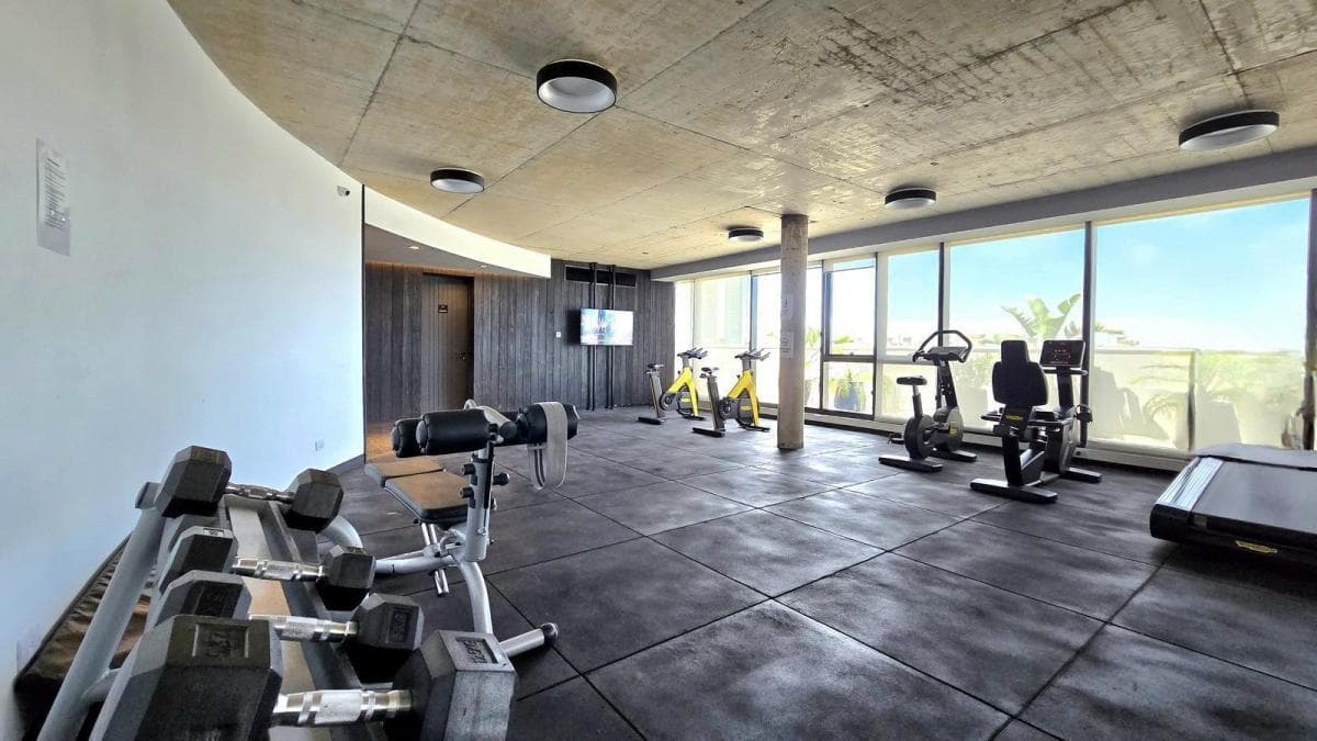 Gimnasio con máquinas de ejercicio, pesas y grandes ventanales.