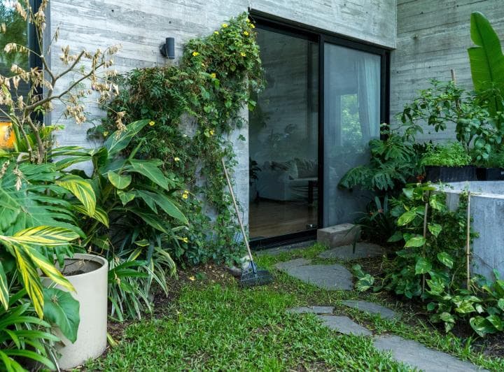 Patio con jardín verde, plantas y pared de cemento a la vista.