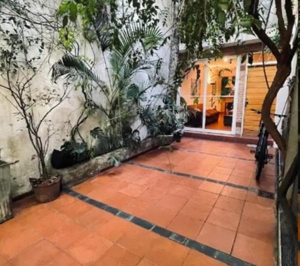 Patio exterior con plantas, baldosas rojas y vista al interior de la casa.