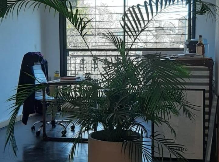 Living con planta grande, escritorio con silla y ventana con rejas.